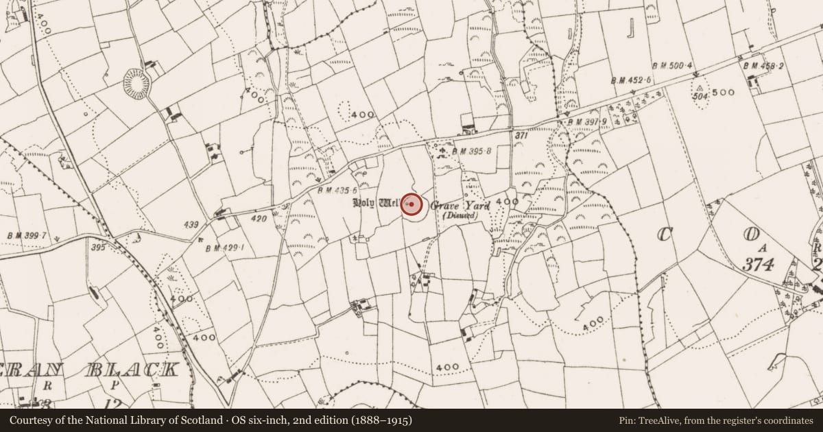 Ordnance Survey six-inch map, 2nd edition (1888–1915) covering the location of Graveyard, Drumbess, County Cavan, with a pin at the register's coordinates
