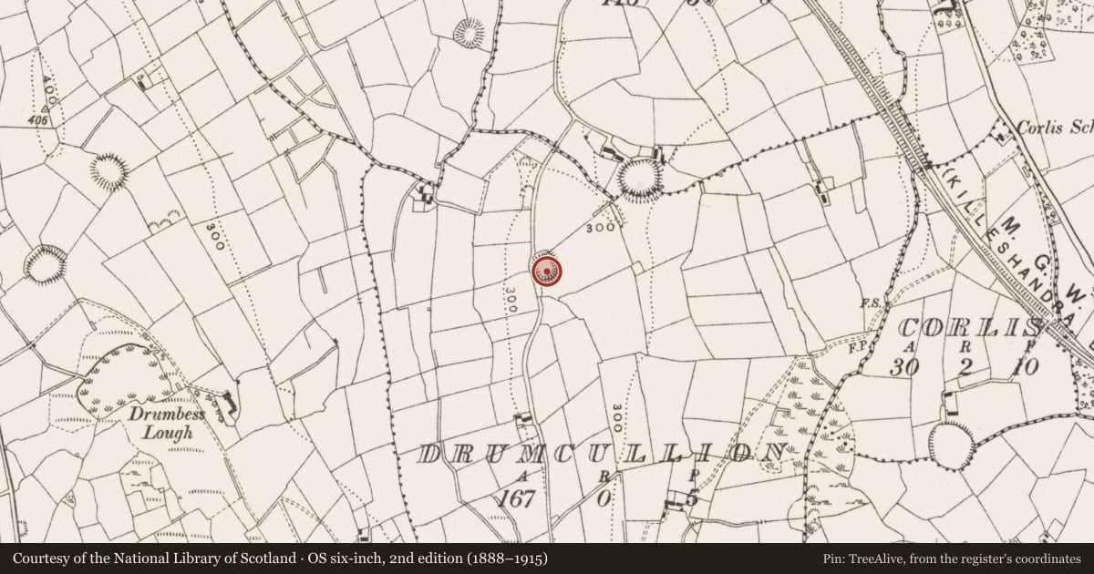 Ordnance Survey six-inch map, 2nd edition (1888–1915) covering the location of Ringfort - rath, Drumcullion, County Cavan, with a pin at the register's coordinates
