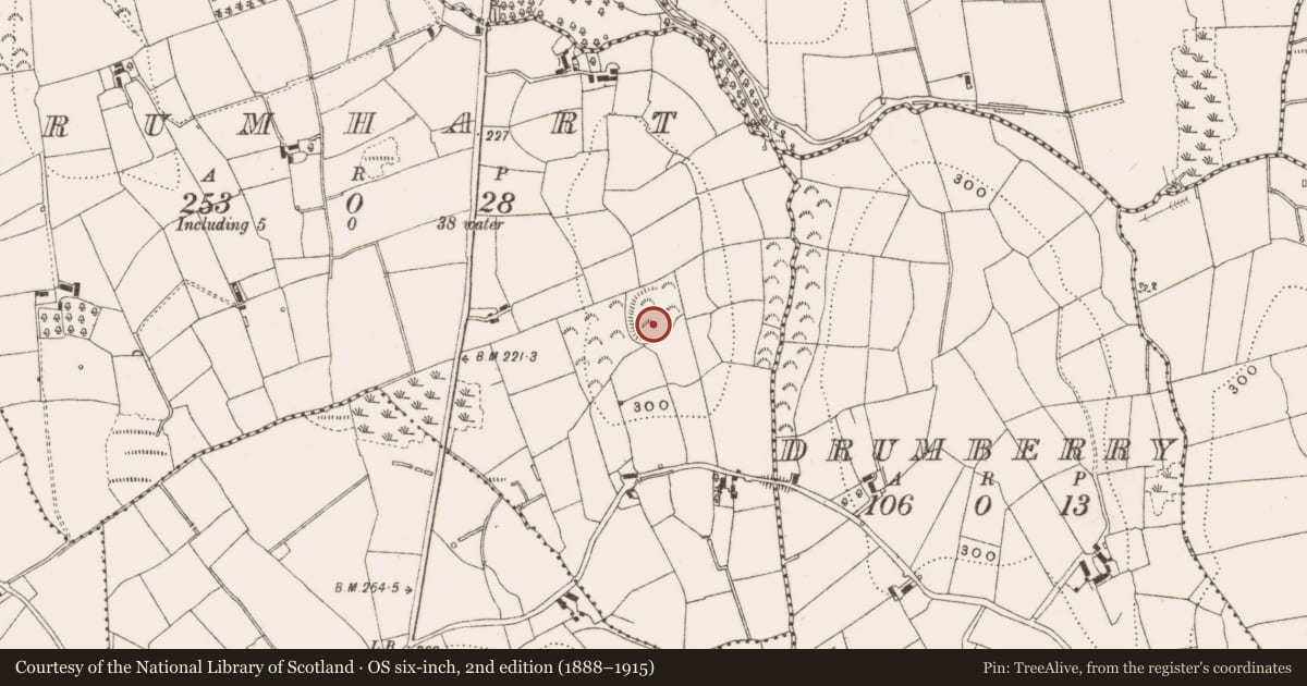 Ordnance Survey six-inch map, 2nd edition (1888–1915) covering the location of Ringfort - rath, Drumhart, County Cavan, with a pin at the register's coordinates