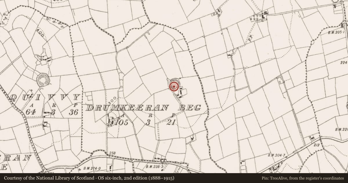 Ordnance Survey six-inch map, 2nd edition (1888–1915) covering the location of Ringfort - rath, Drumkeeran Beg, County Cavan, with a pin at the register's coordinates