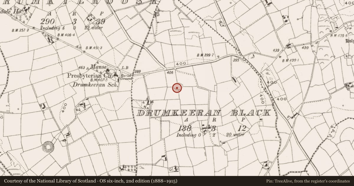 Ordnance Survey six-inch map, 2nd edition (1888–1915) covering the location of Ringfort - rath, Drumkeeran Black, County Cavan, with a pin at the register's coordinates