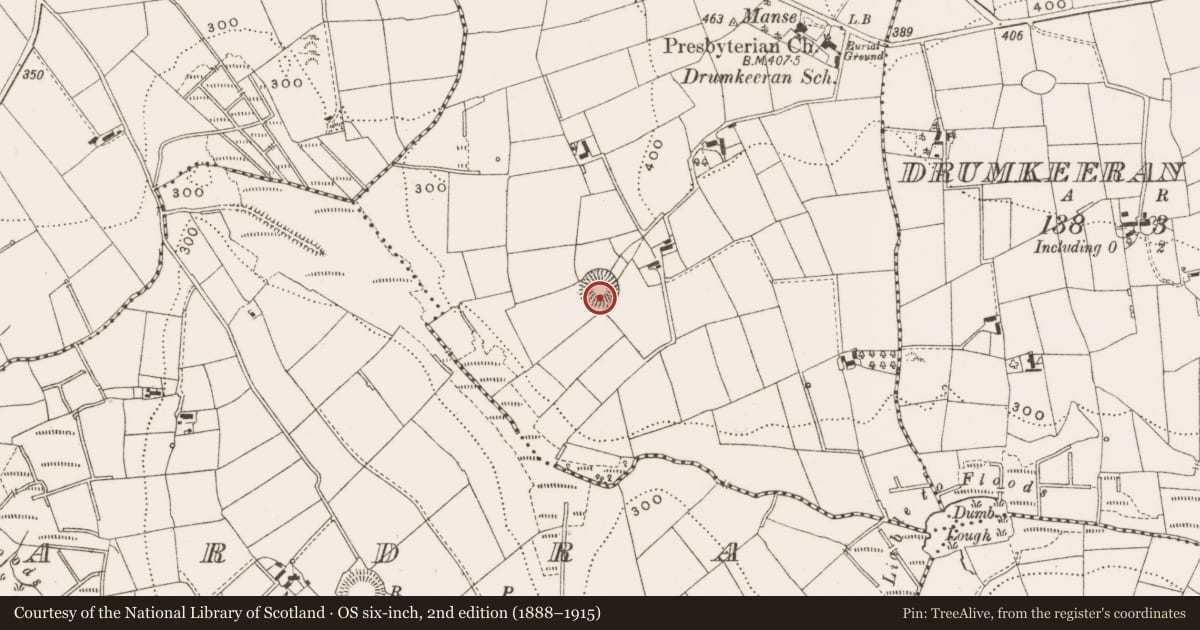 Ordnance Survey six-inch map, 2nd edition (1888–1915) covering the location of Ringfort - rath, Drumkilroosk, County Cavan, with a pin at the register's coordinates