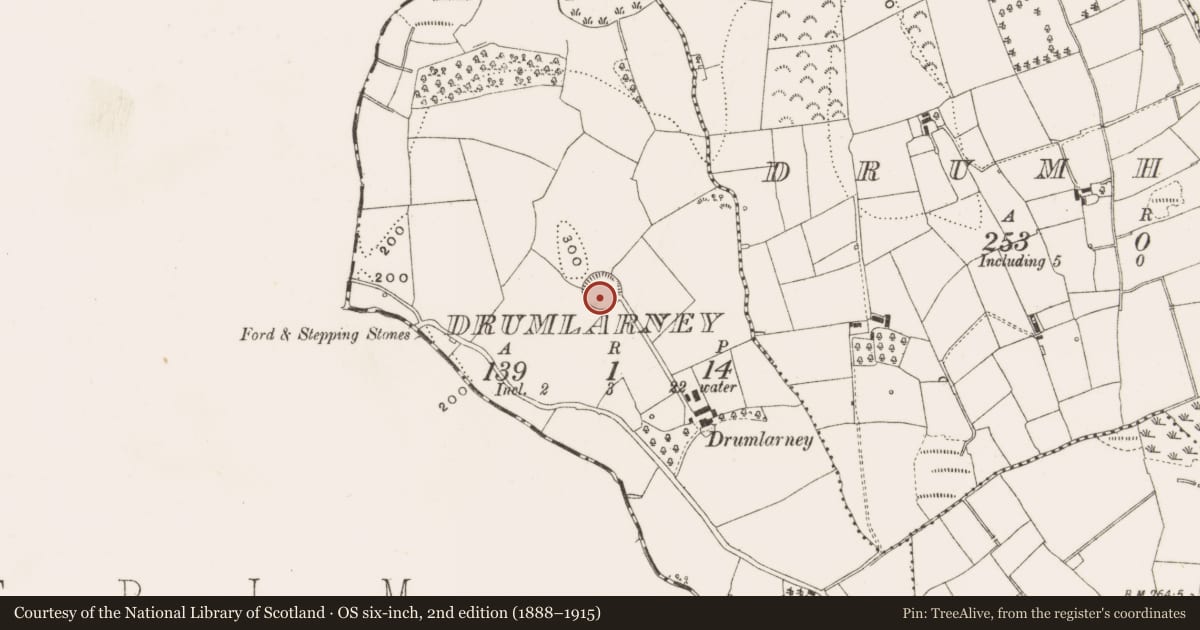 Ordnance Survey six-inch map, 2nd edition (1888–1915) covering the location of Ringfort - rath, Drumlarney, County Cavan, with a pin at the register's coordinates
