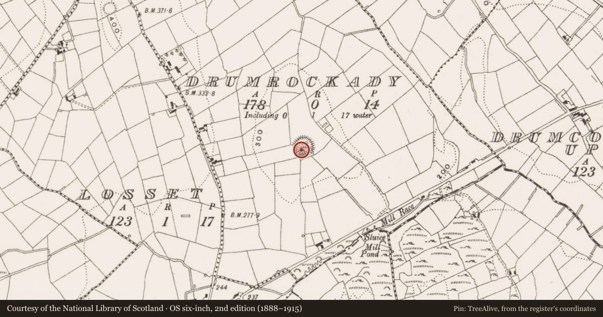 Ordnance Survey six-inch map, 2nd edition (1888–1915) covering the location of Ringfort - rath, Drumrockady, County Cavan, with a pin at the register's coordinates