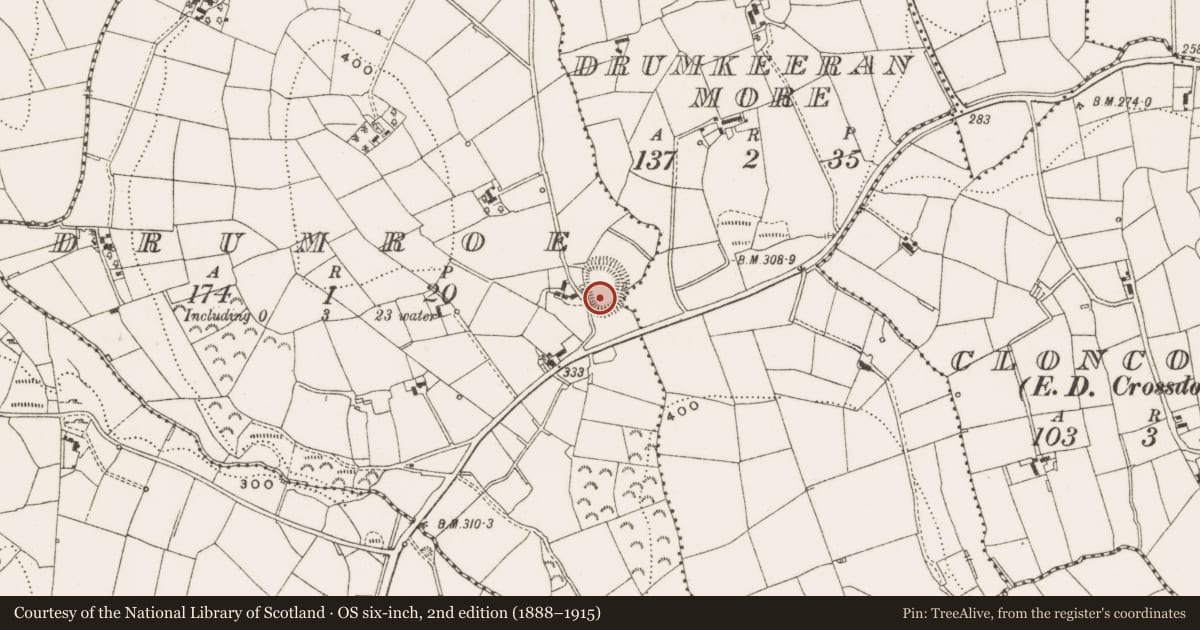 Ordnance Survey six-inch map, 2nd edition (1888–1915) covering the location of Ringfort - rath, Drumroe, County Cavan, with a pin at the register's coordinates