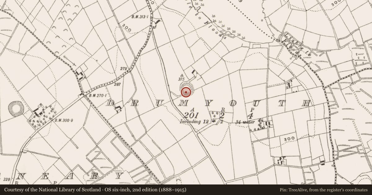 Ordnance Survey six-inch map, 2nd edition (1888–1915) covering the location of Ringfort - rath, Drumyouth, County Cavan, with a pin at the register's coordinates