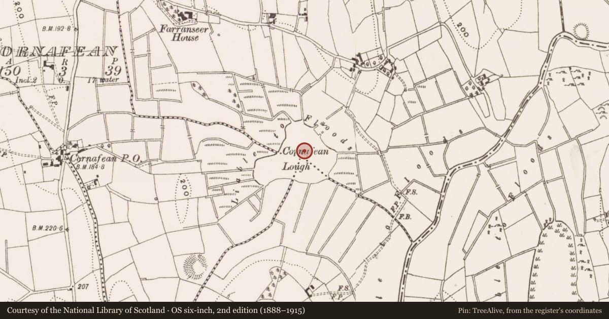 Ordnance Survey six-inch map, 2nd edition (1888–1915) covering the location of Crannog, Farranseer, County Cavan, with a pin at the register's coordinates
