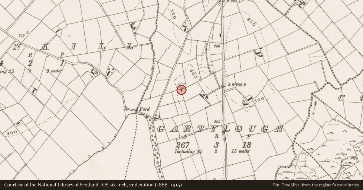 Ordnance Survey six-inch map, 2nd edition (1888–1915) covering the location of Ringfort - rath, Gartylough, County Cavan, with a pin at the register's coordinates