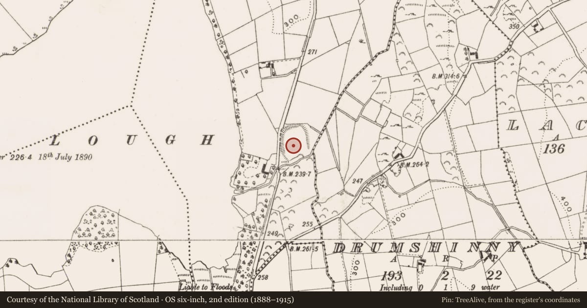 Ordnance Survey six-inch map, 2nd edition (1888–1915) covering the location of Enclosure - large enclosure, Gartylough, County Cavan, with a pin at the register's coordinates