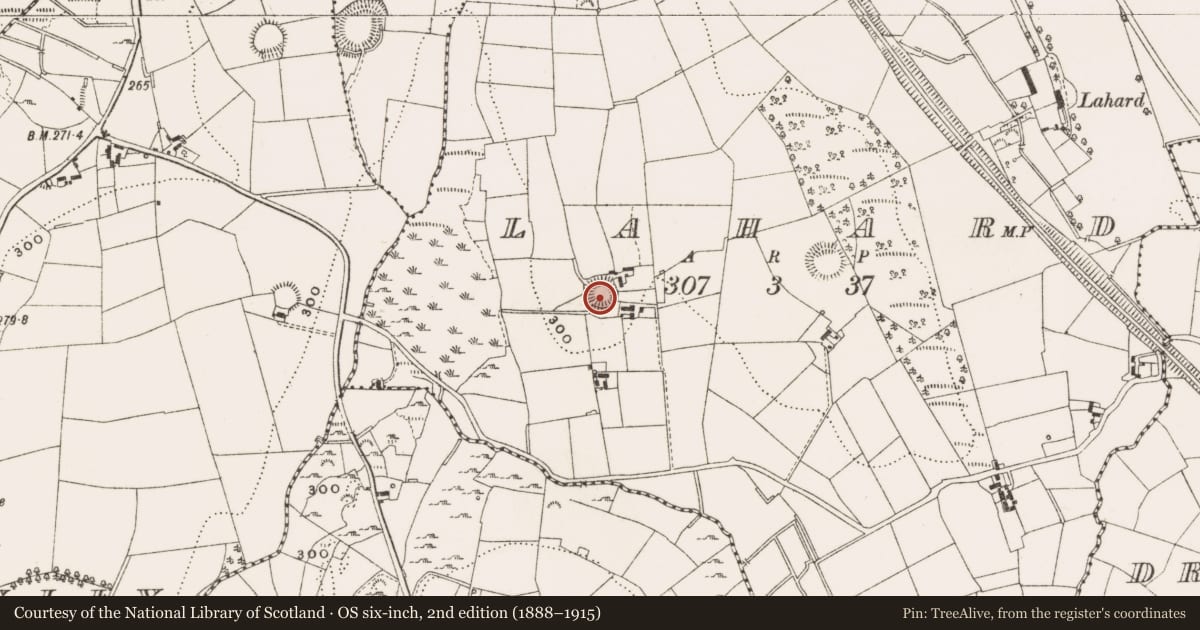 Ordnance Survey six-inch map, 2nd edition (1888–1915) covering the location of Ringfort - rath, Lahard, County Cavan, with a pin at the register's coordinates