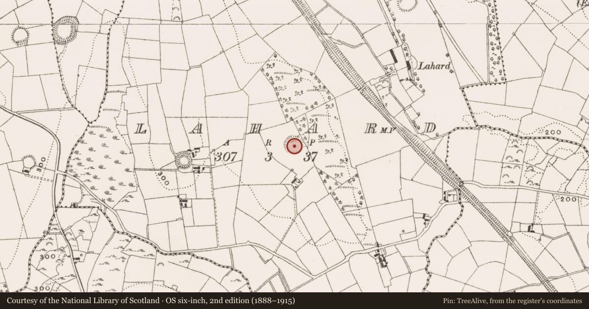 Ordnance Survey six-inch map, 2nd edition (1888–1915) covering the location of Ringfort - rath, Lahard, County Cavan, with a pin at the register's coordinates