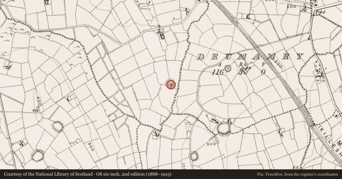 Ordnance Survey six-inch map, 2nd edition (1888–1915) covering the location of Ringfort - rath, Lahard, County Cavan, with a pin at the register's coordinates