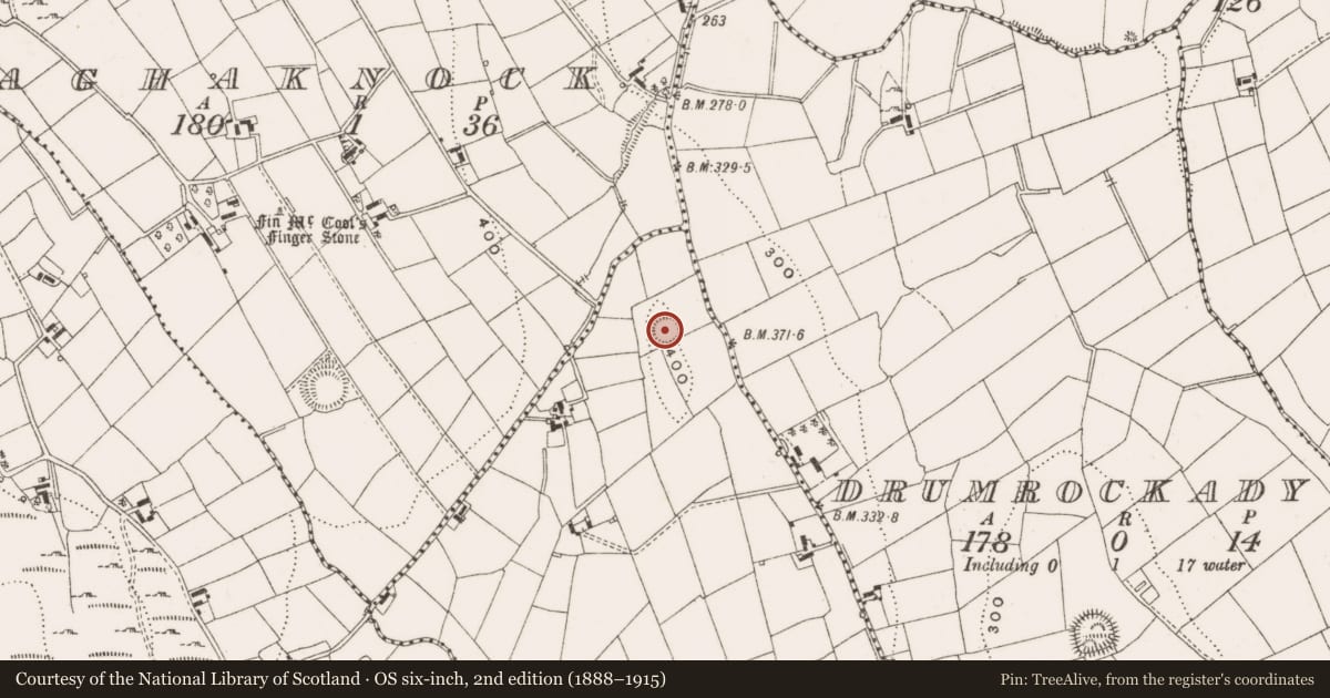 Ordnance Survey six-inch map, 2nd edition (1888–1915) covering the location of Ringfort - rath, Losset, County Cavan, with a pin at the register's coordinates