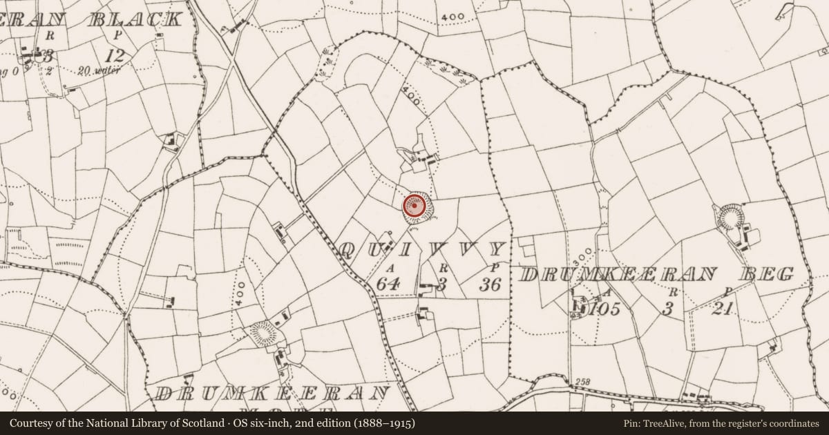 Ordnance Survey six-inch map, 2nd edition (1888–1915) covering the location of Ringfort - rath, Quivvy, County Cavan, with a pin at the register's coordinates