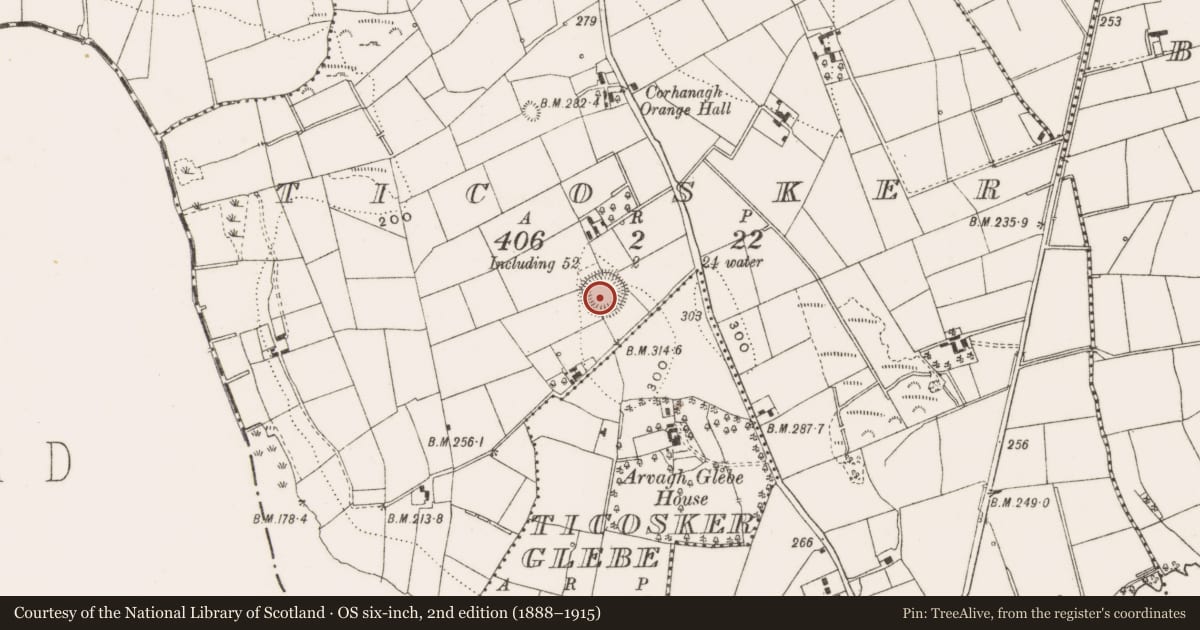 Ordnance Survey six-inch map, 2nd edition (1888–1915) covering the location of Ringfort - rath, Ticosker, County Cavan, with a pin at the register's coordinates