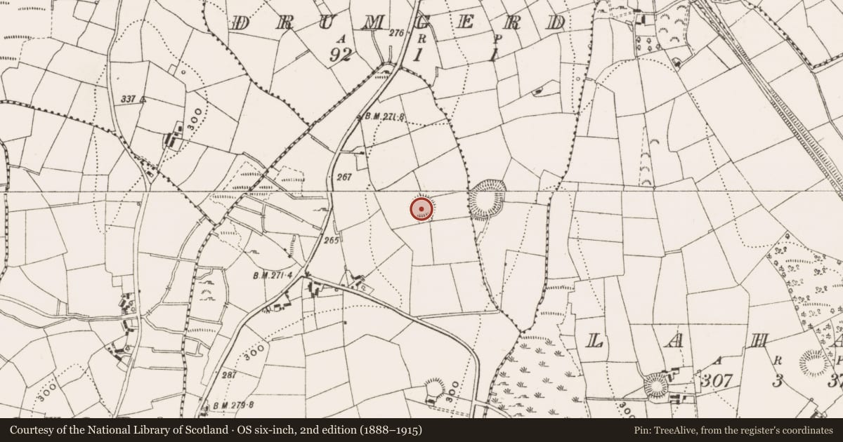 Ordnance Survey six-inch map, 2nd edition (1888–1915) covering the location of Ringfort - rath, Tully, County Cavan, with a pin at the register's coordinates