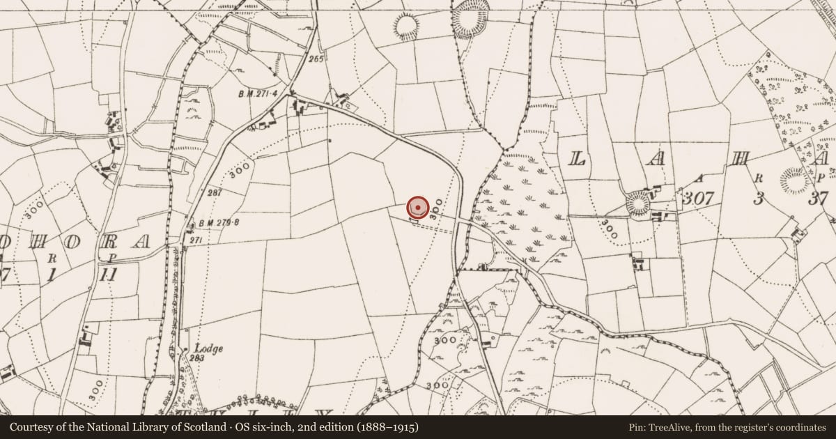 Ordnance Survey six-inch map, 2nd edition (1888–1915) covering the location of Ringfort - rath, Tully, County Cavan, with a pin at the register's coordinates