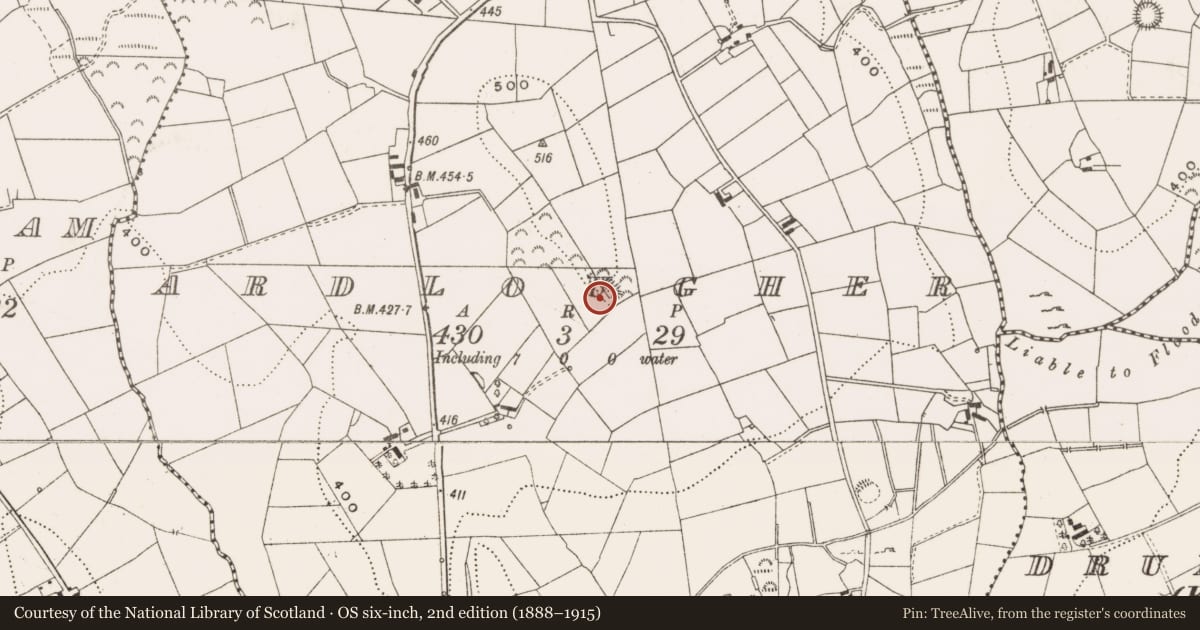 Ordnance Survey six-inch map, 2nd edition (1888–1915) covering the location of Ringfort - rath, Ardlougher, County Cavan, with a pin at the register's coordinates