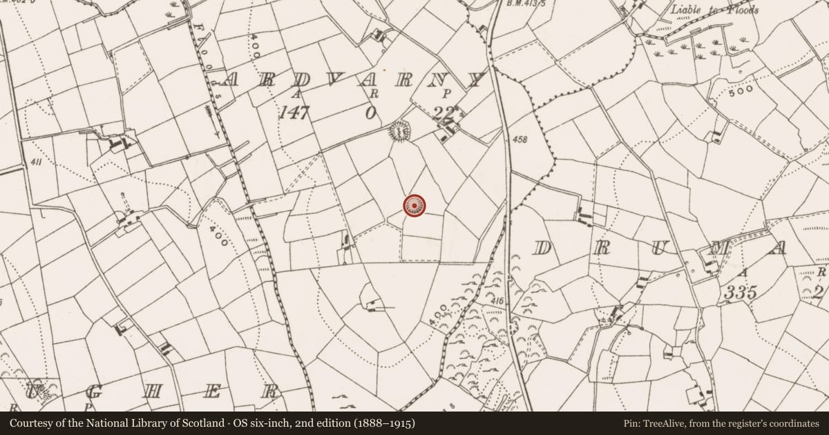 Ordnance Survey six-inch map, 2nd edition (1888–1915) covering the location of Ringfort - rath, Ardvarny, County Cavan, with a pin at the register's coordinates
