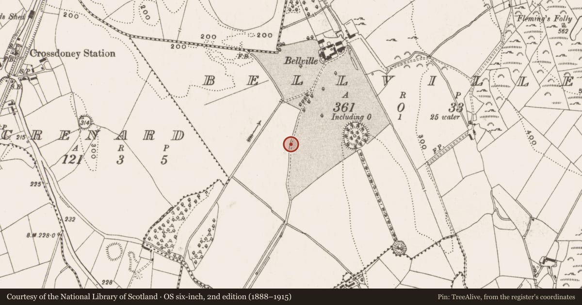 Ordnance Survey six-inch map, 2nd edition (1888–1915) covering the location of Cairn - unclassified, Bellville, County Cavan, with a pin at the register's coordinates