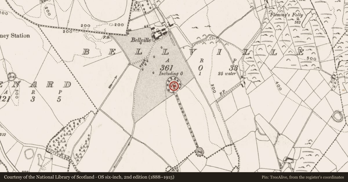 Ordnance Survey six-inch map, 2nd edition (1888–1915) covering the location of Ringfort - rath, Bellville, County Cavan, with a pin at the register's coordinates