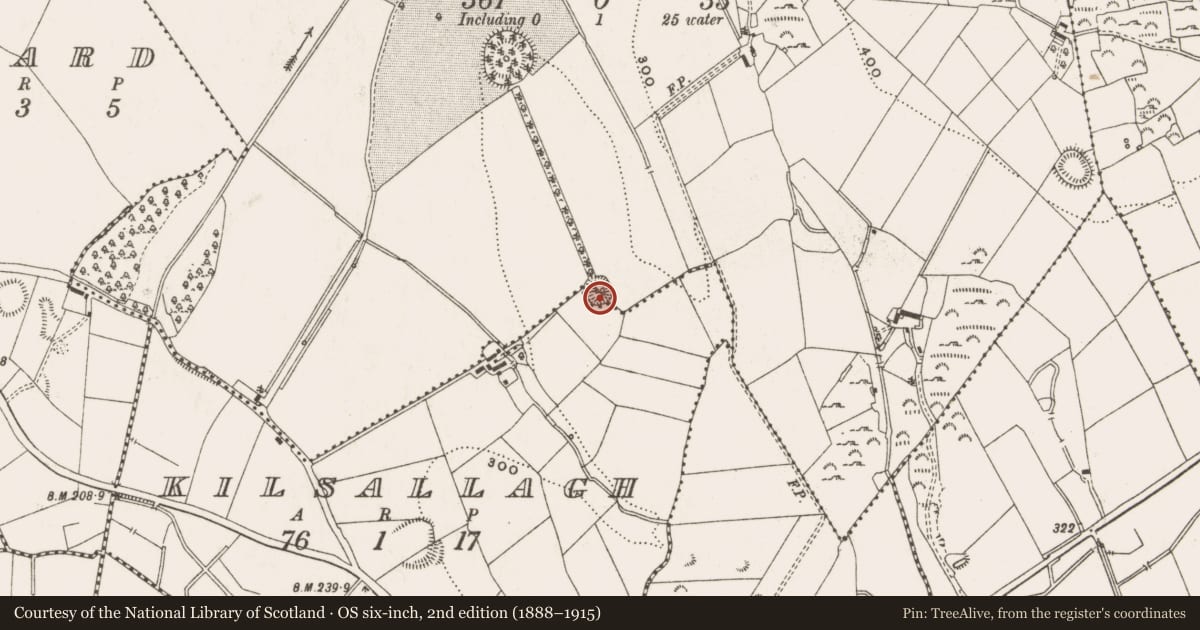 Ordnance Survey six-inch map, 2nd edition (1888–1915) covering the location of Ringfort - rath, Bellville, County Cavan, with a pin at the register's coordinates