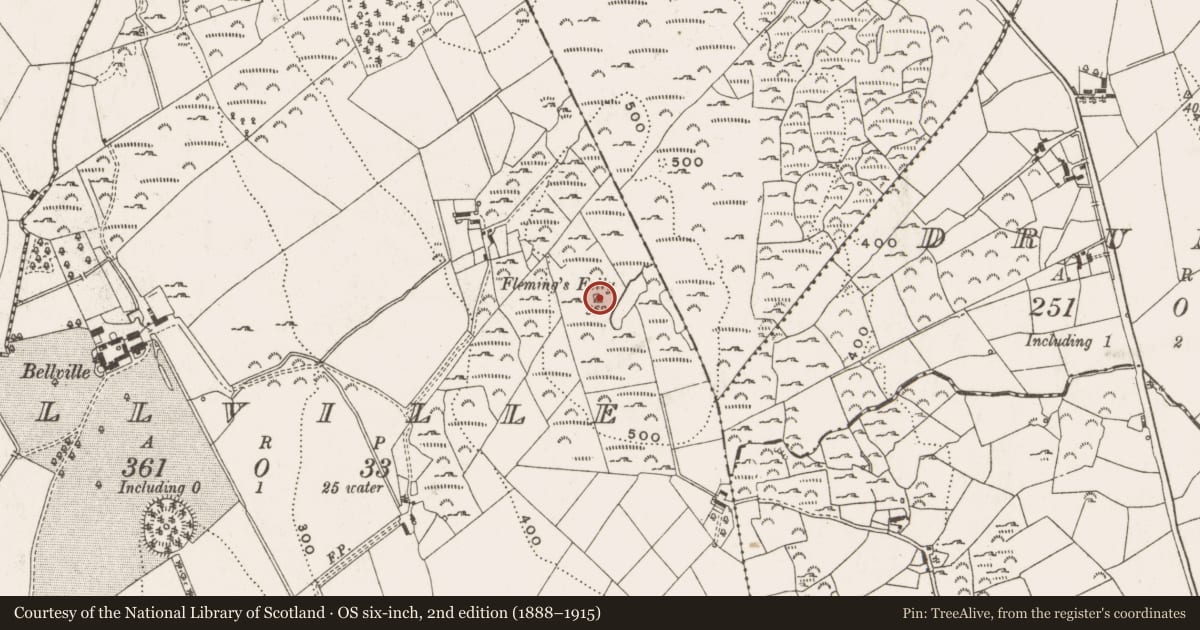 Ordnance Survey six-inch map, 2nd edition (1888–1915) covering the location of Designed landscape - folly, Bellville, County Cavan, with a pin at the register's coordinates