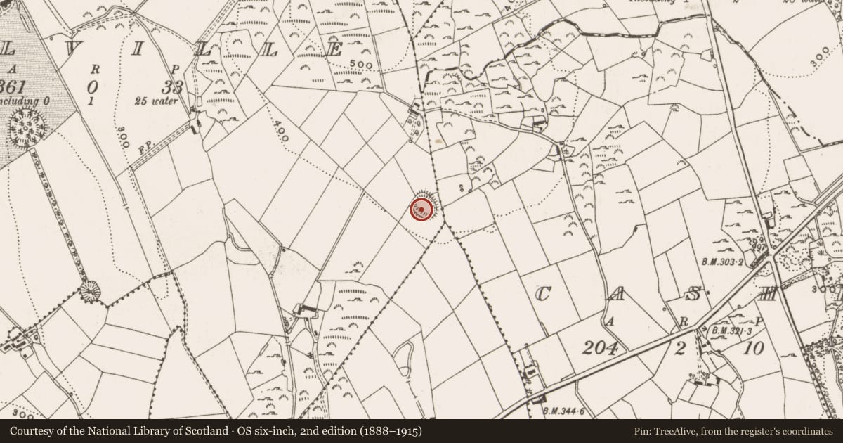 Ordnance Survey six-inch map, 2nd edition (1888–1915) covering the location of Ringfort - rath, Bellville, County Cavan, with a pin at the register's coordinates