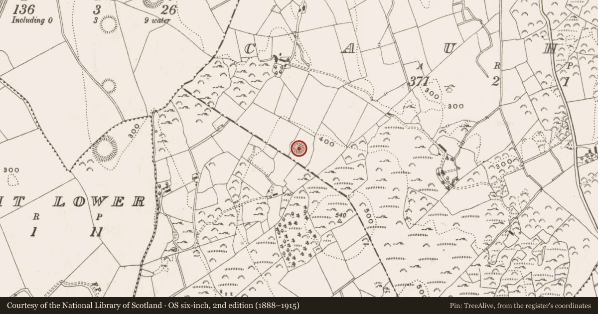 Ordnance Survey six-inch map, 2nd edition (1888–1915) covering the location of Ringfort - rath, Cauhoo, County Cavan, with a pin at the register's coordinates