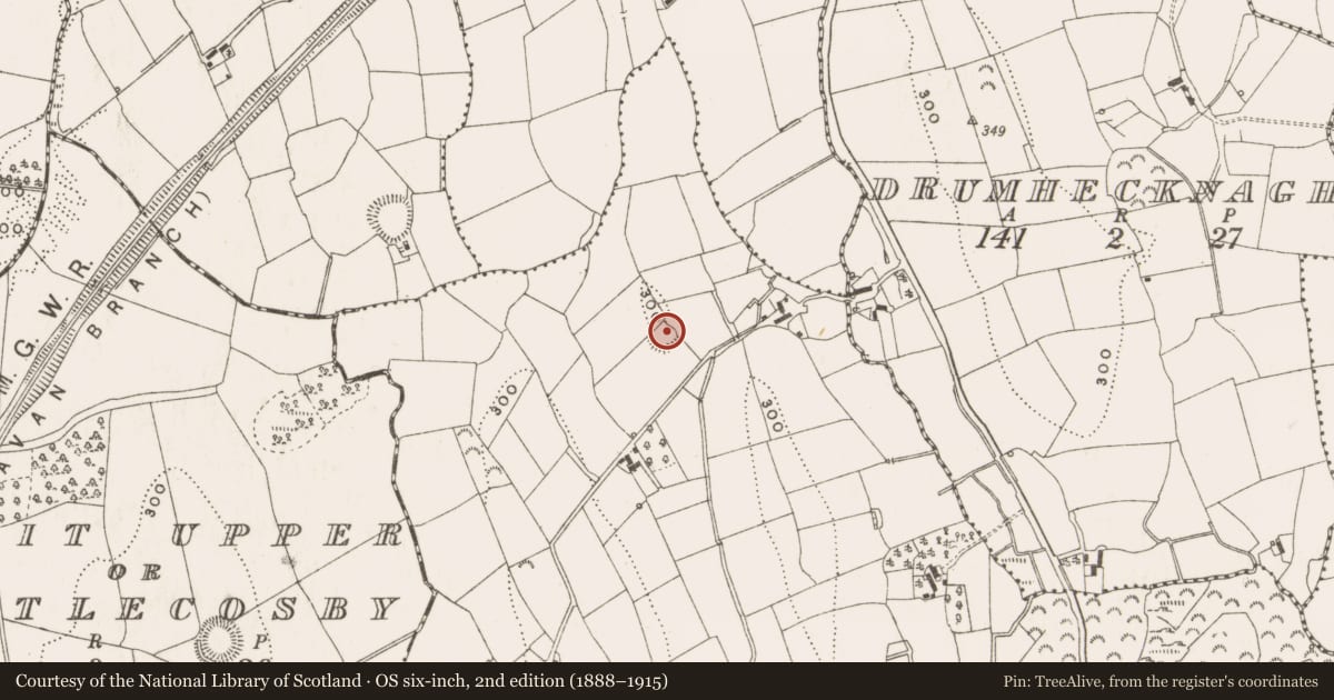 Ordnance Survey six-inch map, 2nd edition (1888–1915) covering the location of Ringfort - rath, Cauhoo, County Cavan, with a pin at the register's coordinates