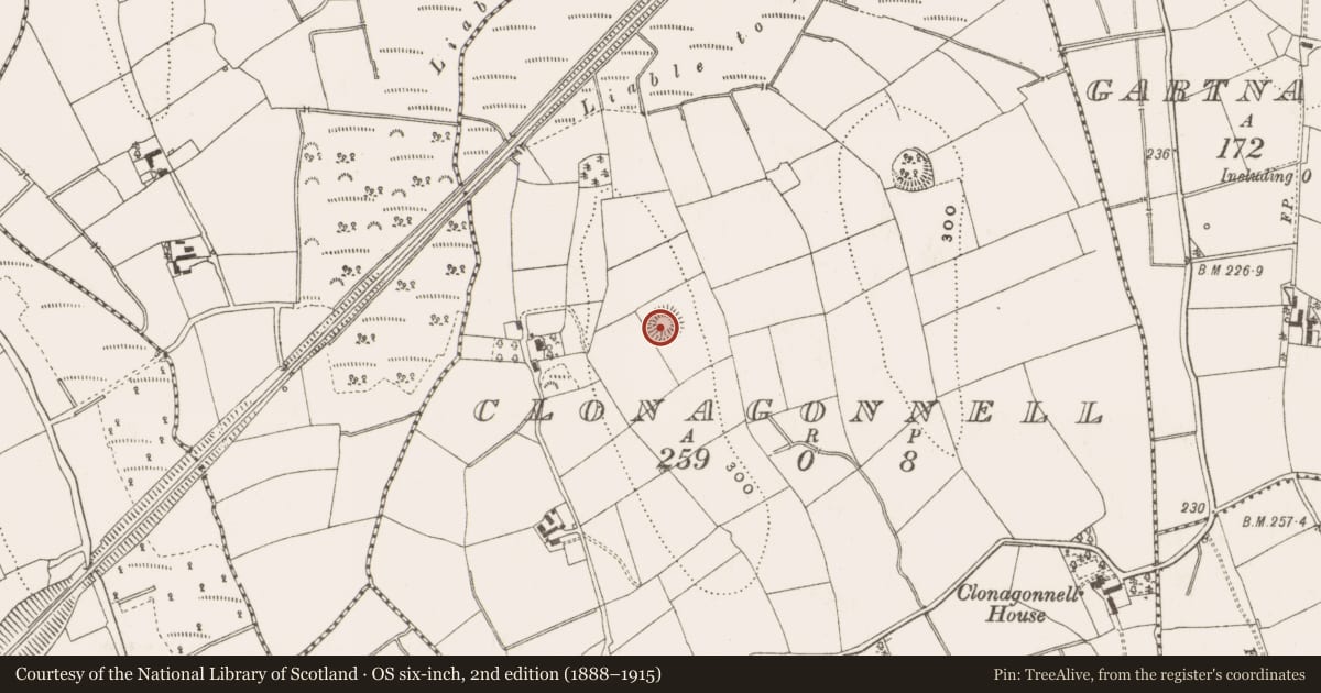 Ordnance Survey six-inch map, 2nd edition (1888–1915) covering the location of Ringfort - rath, Clonagonnell, County Cavan, with a pin at the register's coordinates
