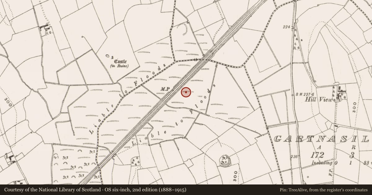Ordnance Survey six-inch map, 2nd edition (1888–1915) covering the location of Crannog, Clonagonnell, County Cavan, with a pin at the register's coordinates