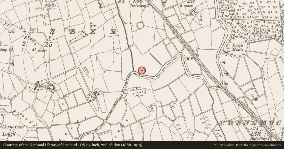 Ordnance Survey six-inch map, 2nd edition (1888–1915) covering the location of Ringfort - rath, Clonloskan, County Cavan, with a pin at the register's coordinates