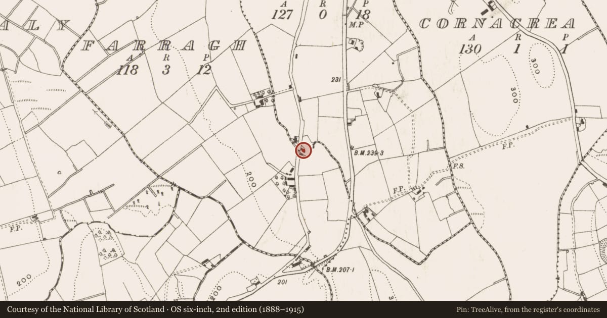 Ordnance Survey six-inch map, 2nd edition (1888–1915) covering the location of School, Coolnagor Or Ricehill, County Cavan, with a pin at the register's coordinates