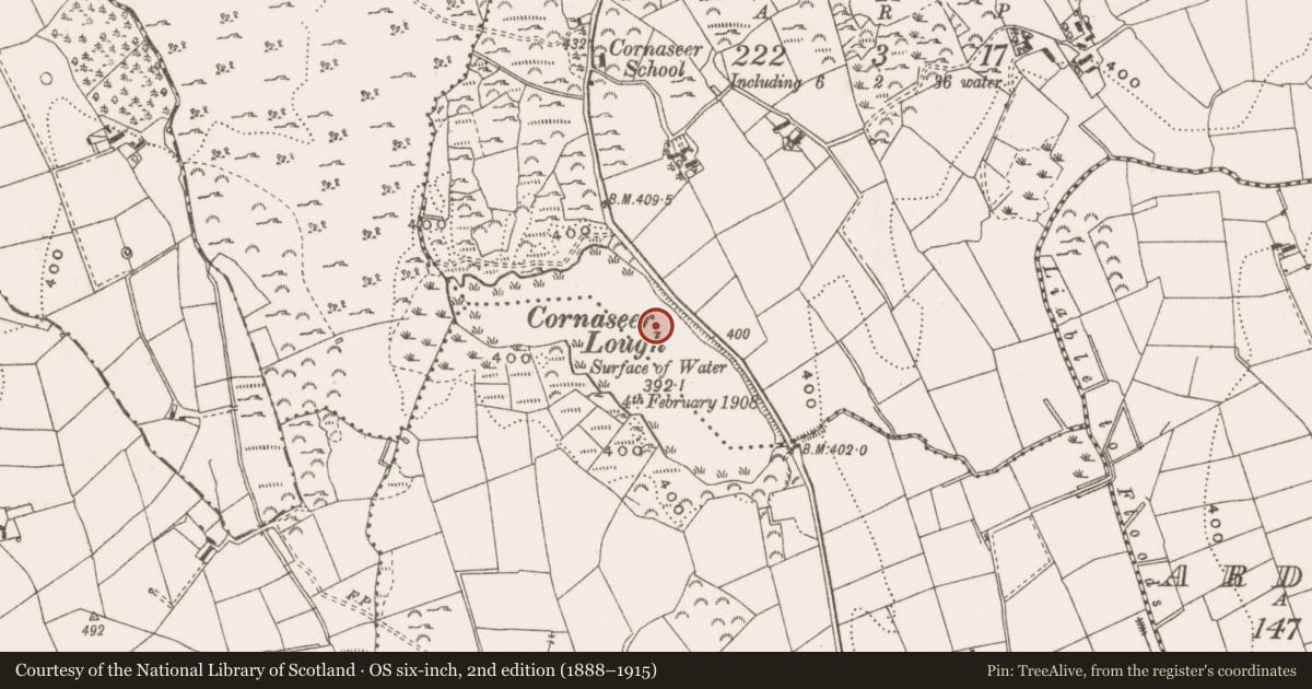 Ordnance Survey six-inch map, 2nd edition (1888–1915) covering the location of Crannog, Cornaseer, County Cavan, with a pin at the register's coordinates