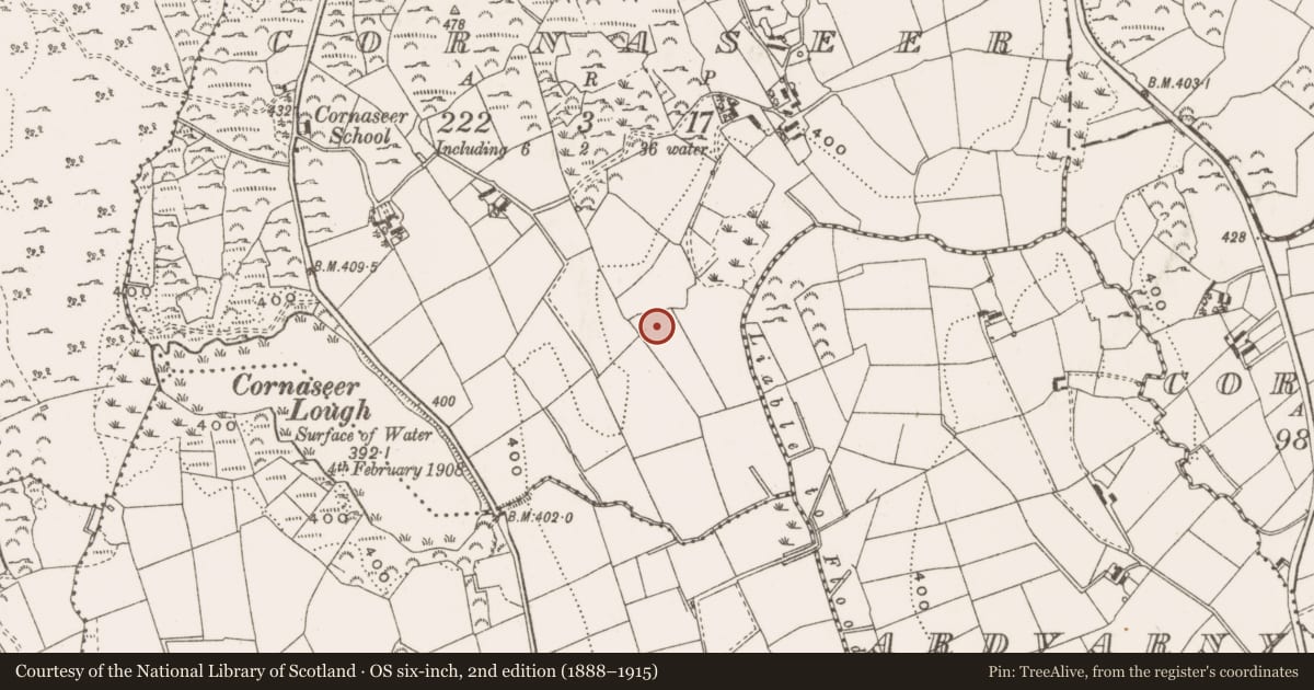 Ordnance Survey six-inch map, 2nd edition (1888–1915) covering the location of Cist, Cornaseer, County Cavan, with a pin at the register's coordinates