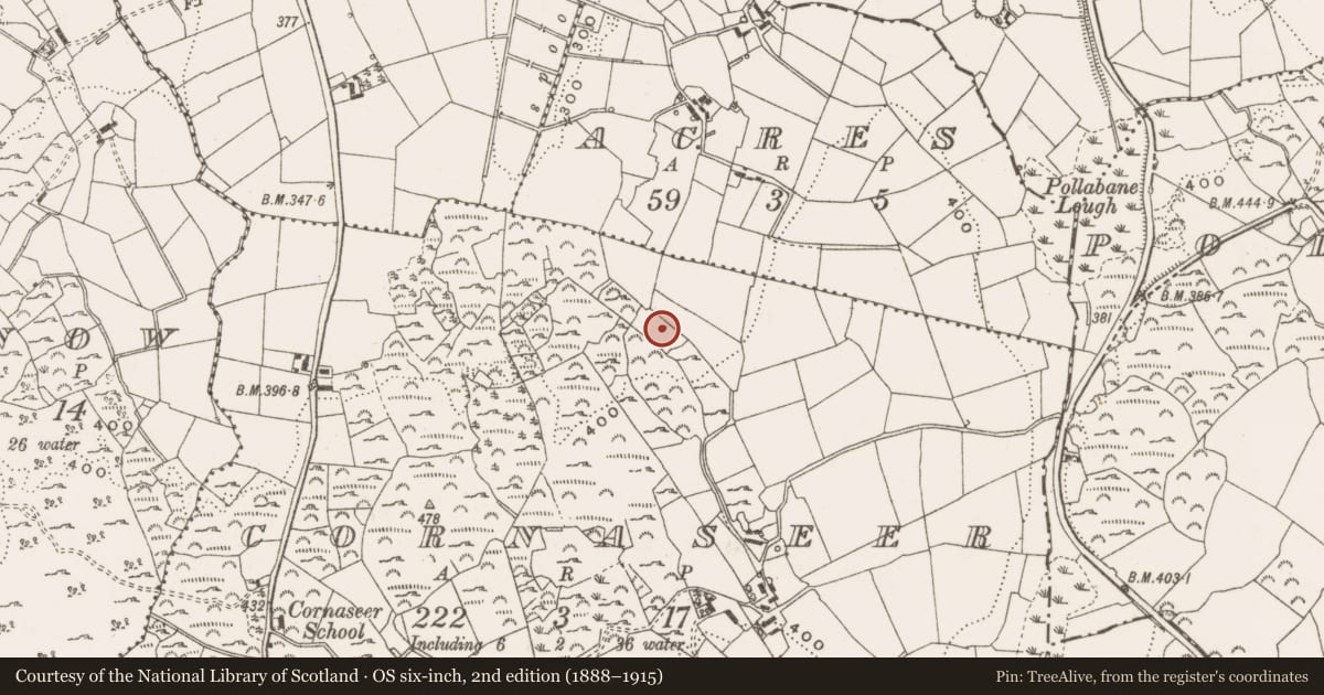 Ordnance Survey six-inch map, 2nd edition (1888–1915) covering the location of Ritual site - holy well, Cornaseer, County Cavan, with a pin at the register's coordinates