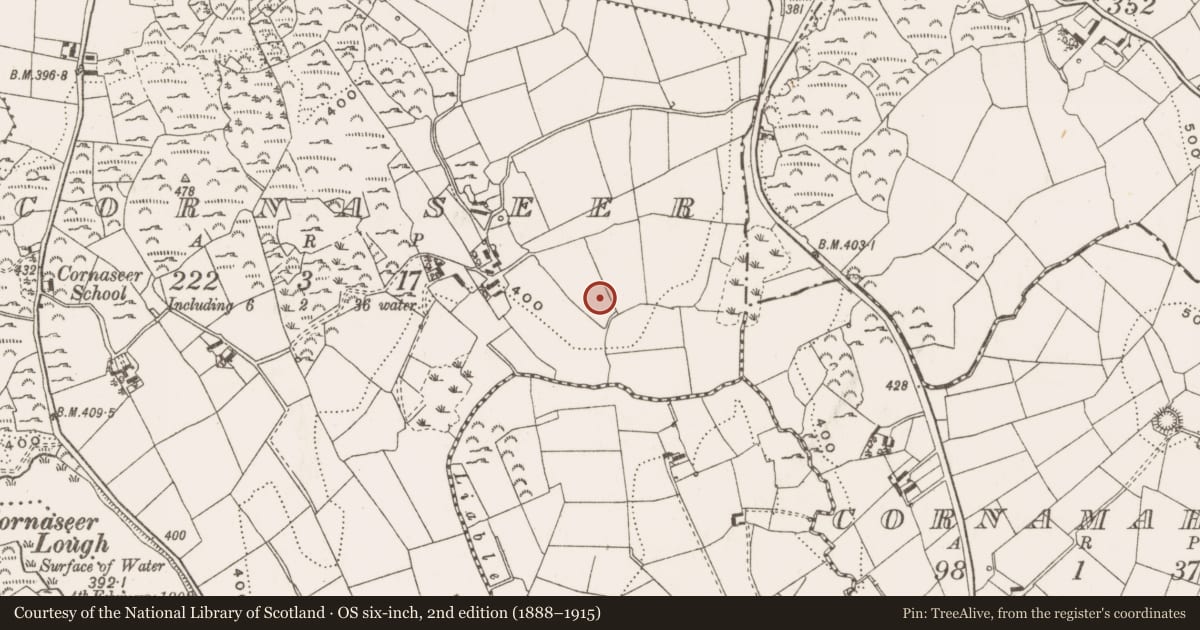 Ordnance Survey six-inch map, 2nd edition (1888–1915) covering the location of Megalithic structure, Cornaseer, County Cavan, with a pin at the register's coordinates