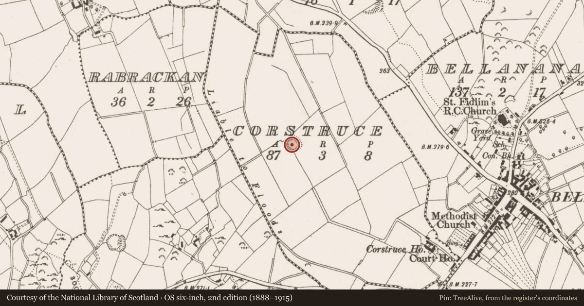 Ordnance Survey six-inch map, 2nd edition (1888–1915) covering the location of Ringfort - rath, Corstruce, County Cavan, with a pin at the register's coordinates