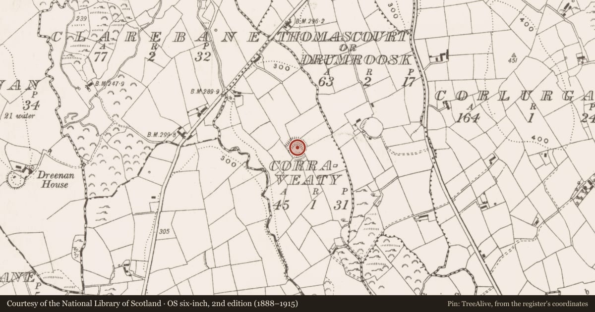Ordnance Survey six-inch map, 2nd edition (1888–1915) covering the location of Ringfort - rath, Corraveaty, County Cavan, with a pin at the register's coordinates
