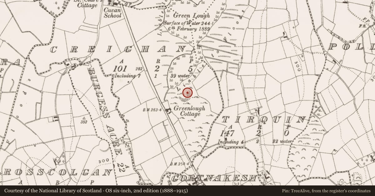 Ordnance Survey six-inch map, 2nd edition (1888–1915) covering the location of Ringfort - rath, Creighan, County Cavan, with a pin at the register's coordinates