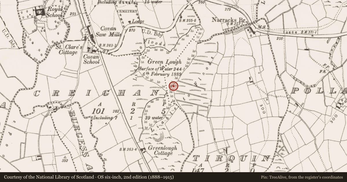 Ordnance Survey six-inch map, 2nd edition (1888–1915) covering the location of Crannog, Creighan, Tirquin, County Cavan, with a pin at the register's coordinates