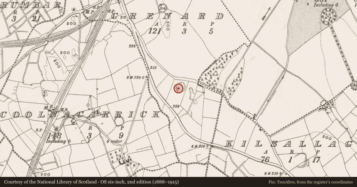 Ordnance Survey six-inch map, 2nd edition (1888–1915) covering the location of Ringfort - rath, Crenard, County Cavan, with a pin at the register's coordinates