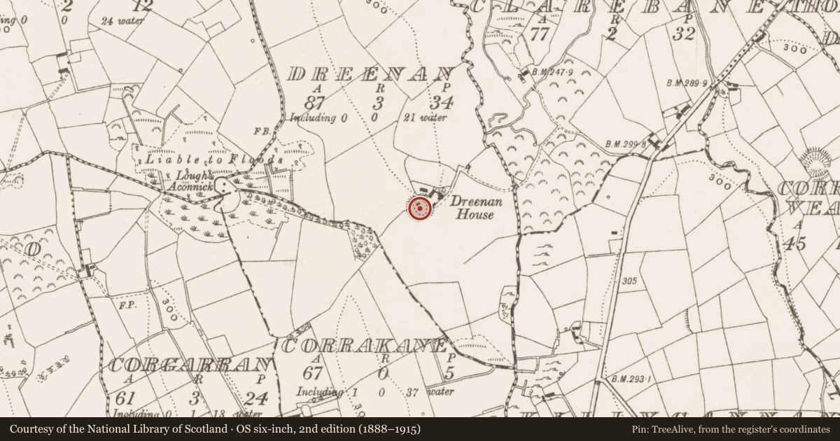 Ordnance Survey six-inch map, 2nd edition (1888–1915) covering the location of Ringfort - rath, Dreenan, County Cavan, with a pin at the register's coordinates