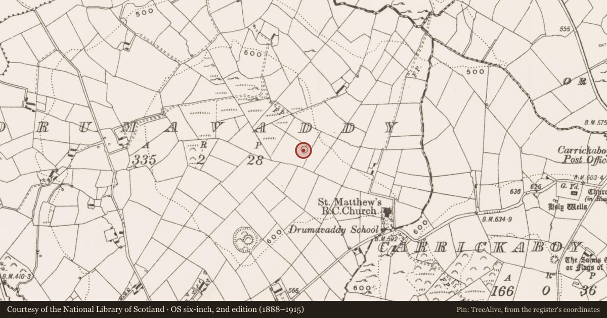 Ordnance Survey six-inch map, 2nd edition (1888–1915) covering the location of Ringfort - rath, Drumavaddy, County Cavan, with a pin at the register's coordinates