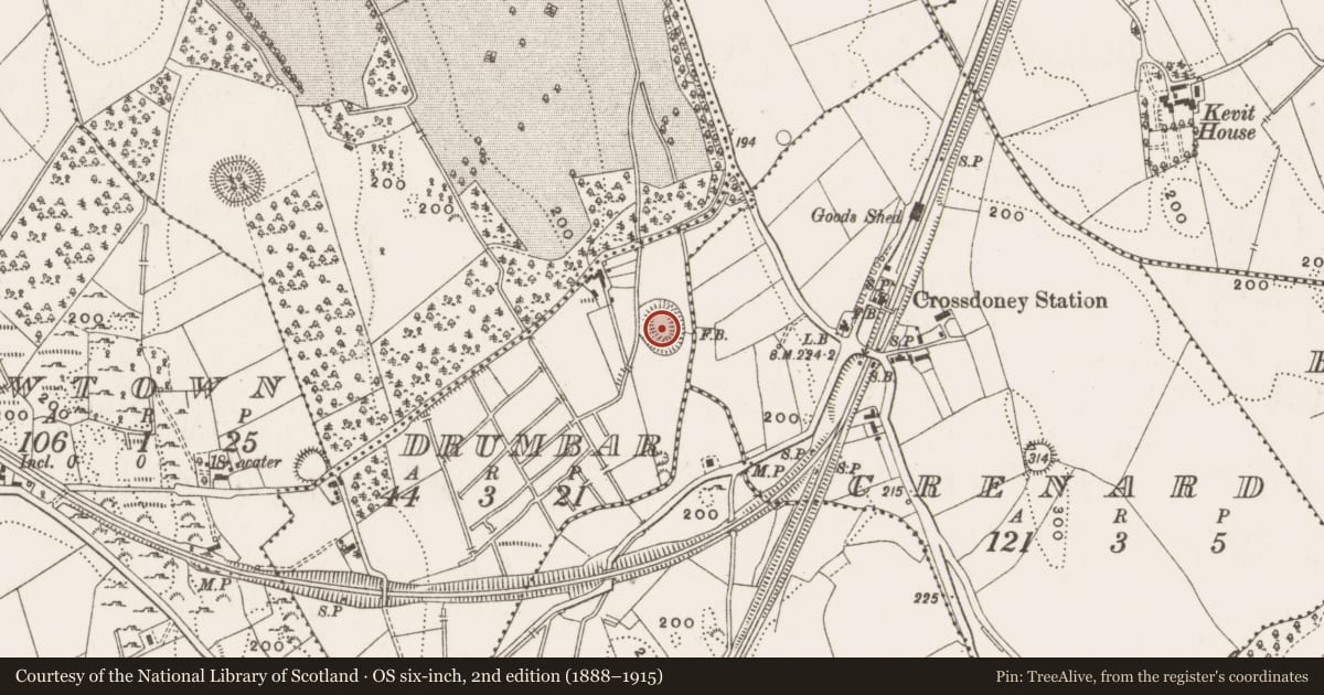 Ordnance Survey six-inch map, 2nd edition (1888–1915) covering the location of Ringfort - rath, Drumbar, County Cavan, with a pin at the register's coordinates