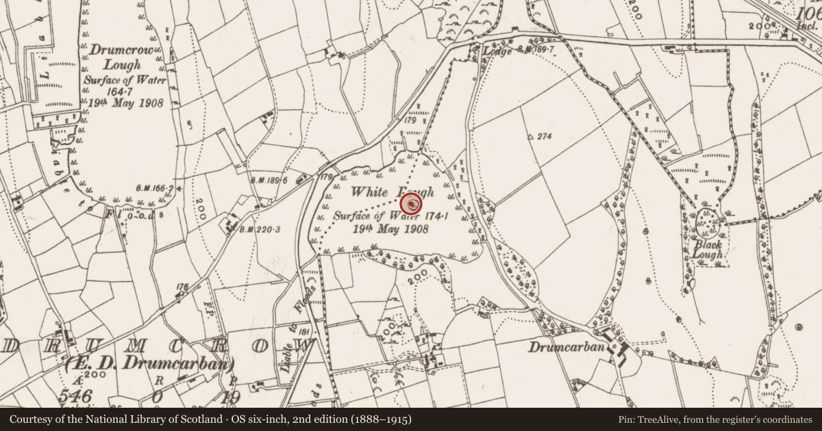 Ordnance Survey six-inch map, 2nd edition (1888–1915) covering the location of Crannog, Drumcarban, County Cavan, with a pin at the register's coordinates