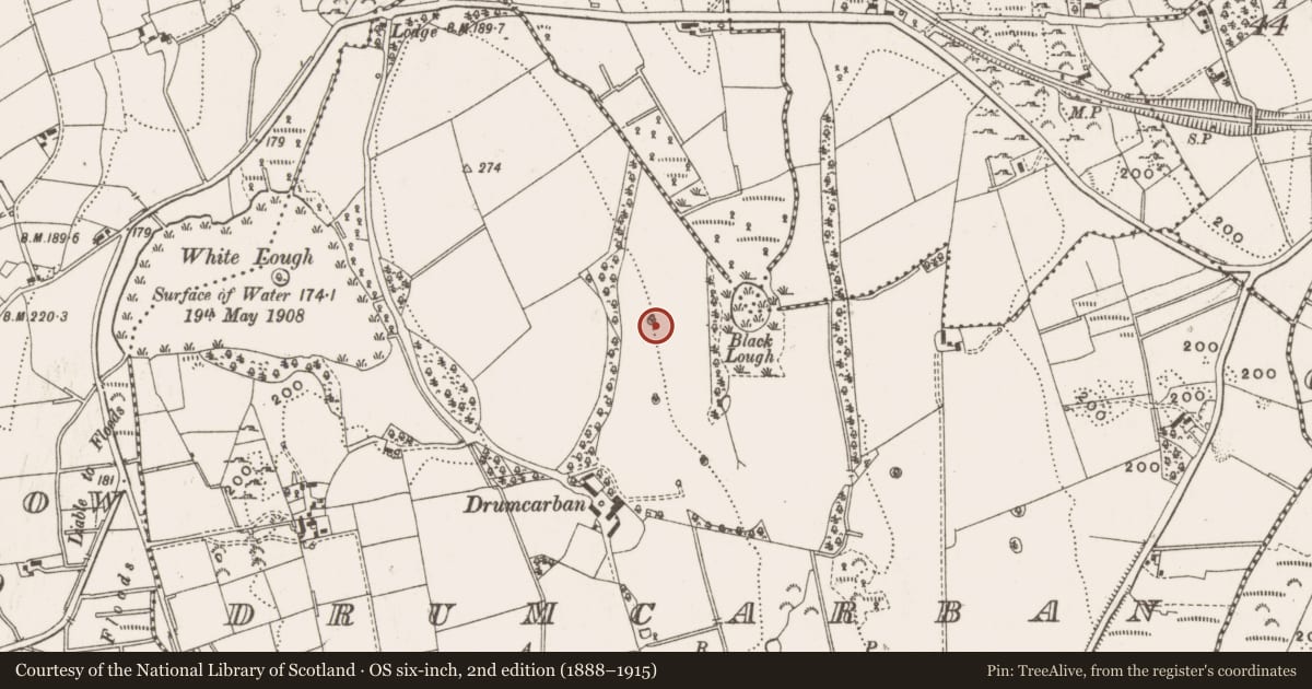 Ordnance Survey six-inch map, 2nd edition (1888–1915) covering the location of Designed landscape - tree-ring, Drumcarban, County Cavan, with a pin at the register's coordinates