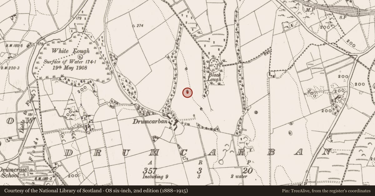 Ordnance Survey six-inch map, 2nd edition (1888–1915) covering the location of Designed landscape - tree-ring, Drumcarban, County Cavan, with a pin at the register's coordinates