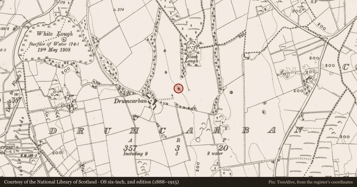Ordnance Survey six-inch map, 2nd edition (1888–1915) covering the location of Designed landscape - tree-ring, Drumcarban, County Cavan, with a pin at the register's coordinates
